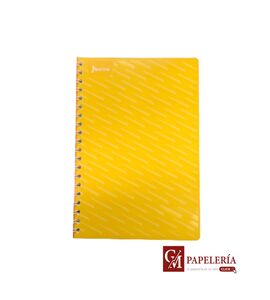 LIBRETA PROFESIONAL RAYA 100 HOJAS NORMA